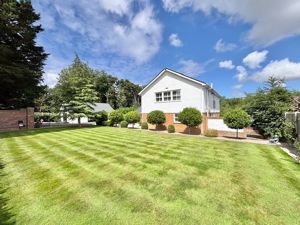 Front- click for photo gallery